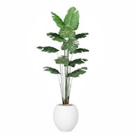 Artificial Monstera Tree with Paula Pot