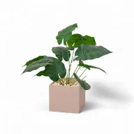 Artificial Queen Lily In Cube Pot