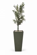 Tall Olive Tree Artificial In Obelisk Pot
