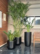 Trioest Fiberglass Pots With Plants