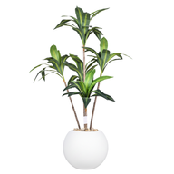 Artificial Dracaena Marginata Tree With Pelio Pot