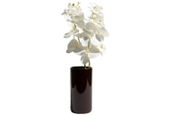 Glazed Orchid Vase