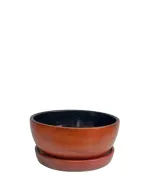 أصيص نبات ديكوري مزود بطبق