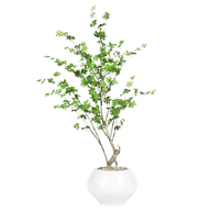 Artificial Maple Tree with Kora Planter