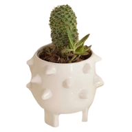 Monster Pot – Sculptural Pottery Planter