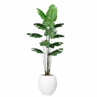 Artificial Monstera Tree with Paula Pot