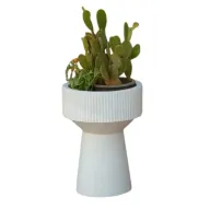 حوض زرع فايبر جيرا