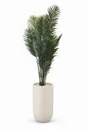 Modern Artificial Areca Plant In Luna Pot