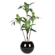 Artificial Dracaena Marginata Tree With Pelio Pot