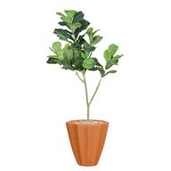 Artificial Maple Tree with Paula Pot