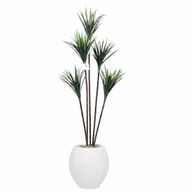 Artificial Dracaena Tree with Paula Pot
