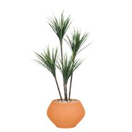 Artificial Dracaena Tree in Kora Planter