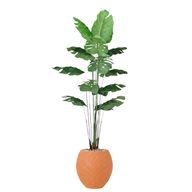 Artificial Monstera Tree with Paula Pot
