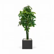 Realistic Artificial Money Tree In Cube Pot