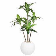 Artificial Dracaena Marginata Tree With Pelio Pot