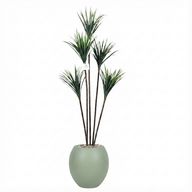 Artificial Dracaena Tree with Paula Pot