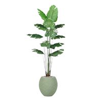 Artificial Monstera Tree with Paula Pot