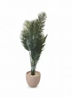 Potted Artificial Areca In Curve Pot