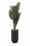 Modern Artificial Areca Plant In Luna Pot