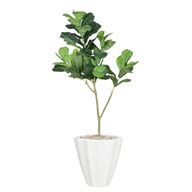 Artificial Maple Tree with Paula Pot