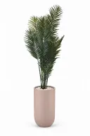 Modern Artificial Areca Plant In Luna Pot