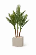 Artificial Phoenix Trio In Cube Pot