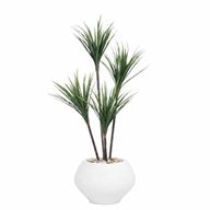 Artificial Dracaena Tree in Kora Planter