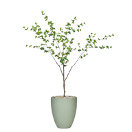 Artificial Maple Tree with Aura Planter