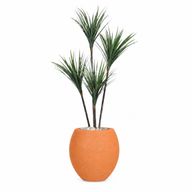 Artificial Dracaena Tree with Paula Pot