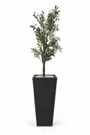 Tall Olive Tree Artificial In Obelisk Pot