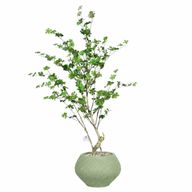 Artificial Maple Tree with Kora Planter