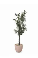 Realistic Artificial Olive Tree In Curve Pot