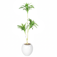 Artificial Dracaena Song of India Tree
