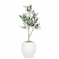 Artificial Olive Tree with Paula Pot