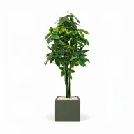 Realistic Artificial Money Tree In Cube Pot