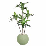 Artificial Dracaena Marginata Tree With Pelio Pot