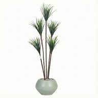 Artificial Dracaena Tree with Paula Pot