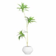 Artificial Dracaena Song of India Tree With Kora Pot