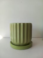 Ribbed Pot
