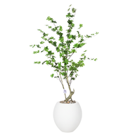 Artificial Maple Tree with Paula Pot