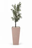 Tall Olive Tree Artificial In Obelisk Pot