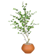Artificial Maple Tree with Kora Planter