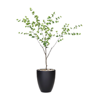 Artificial Maple Tree with Aura Planter