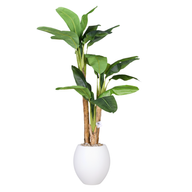 Artificial Banana Tree with Pula Pot