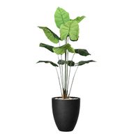 Artificial Taro Tree in Aura Planter