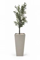 Tall Olive Tree Artificial In Obelisk Pot