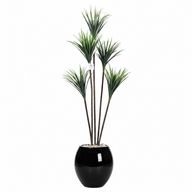 Artificial Dracaena Tree with Paula Pot