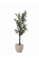 Realistic Artificial Olive Tree In Curve Pot