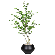 Artificial Maple Tree with Kora Planter