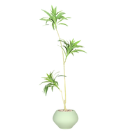 Artificial Dracaena Song of India Tree With Kora Pot